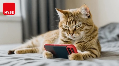 En tabbykatt ligger på en säng och tittar intensivt på en smartphone som den håller mellan framtassarna. Telefonen har ett rött fodral. I det övre vänstra hörnet finns en röd fyrkant med vit text där det står MY.SE.
